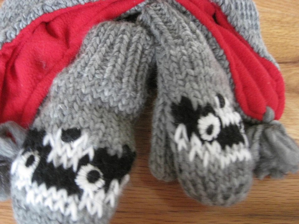 THE CHILDREN'S PLACE Mapache Sombrero/Gorro para Nieve con Conjunto de Mitones TALLA S NUEVO Foto 3 de 4