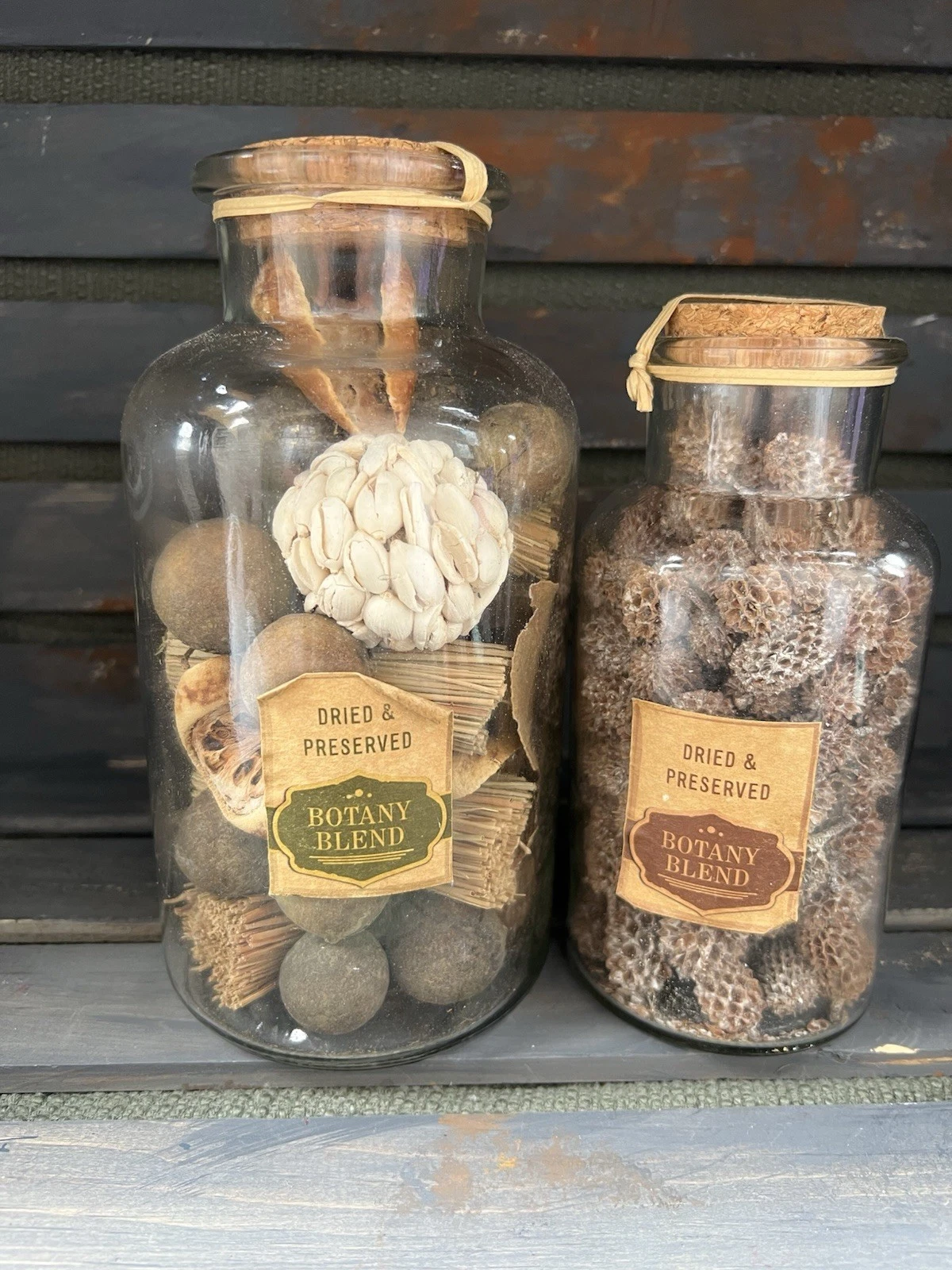 Dried Preserved Botany Blend Glass Jar Set Rustic Potpourri Decor Cork Lid