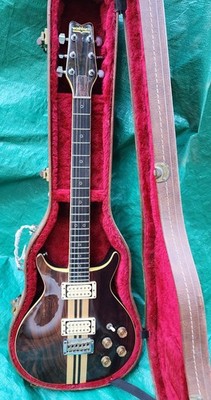 Gorgeous 1970s/80s Washburn Wing Series Eagle/Falcon Electric Guitar with Case