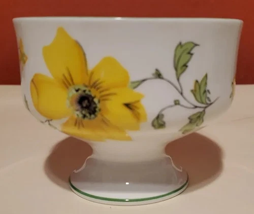 Vintage Royal Victoria Fine Bone China England Pedestal Sherbert Bowl Daisies VG