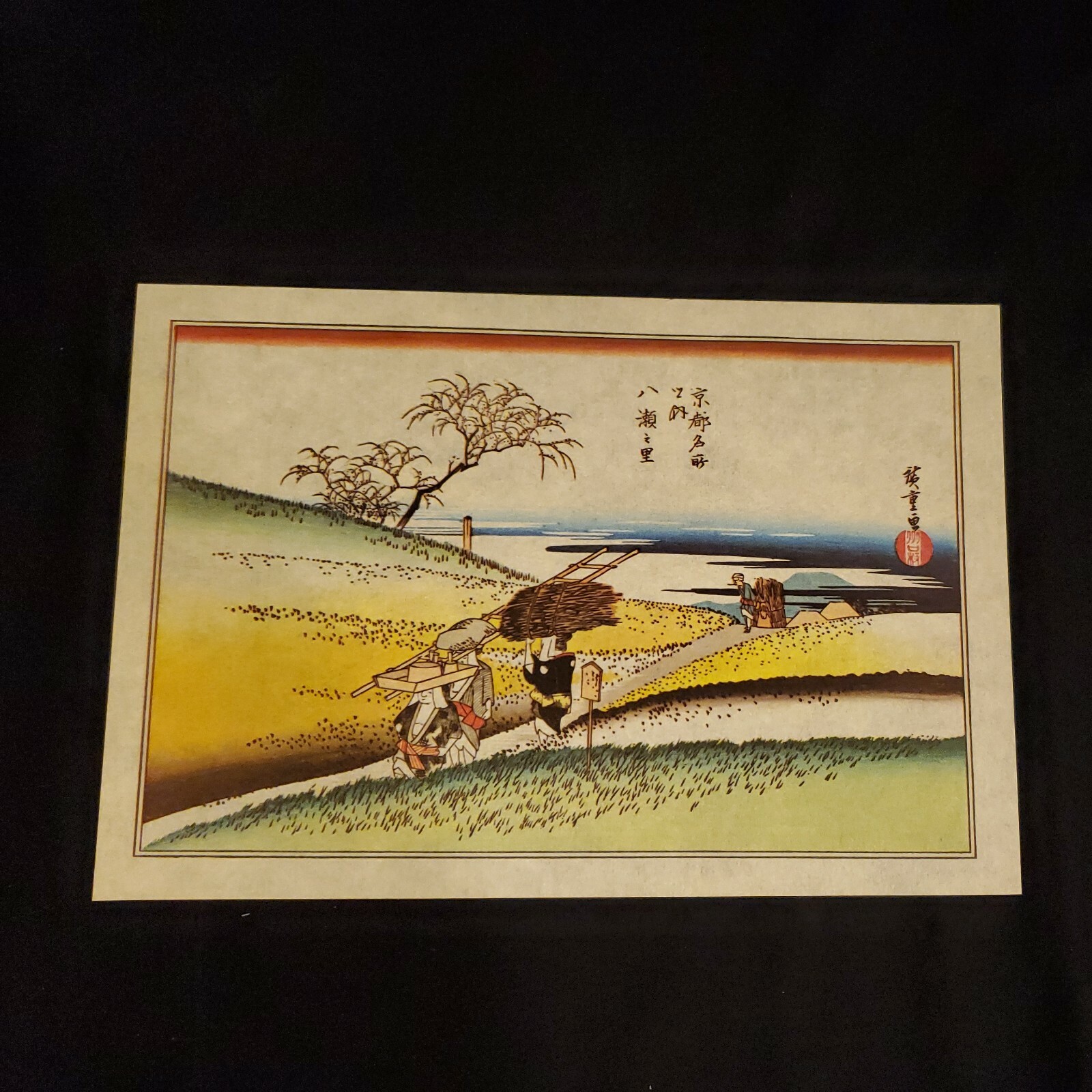 Picture 5 of 12