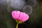 Bild 8 von 9