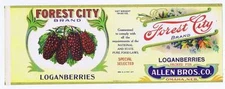 Forest City, loganberries, can label, Allen Bros. Co, Omaha Nebraska