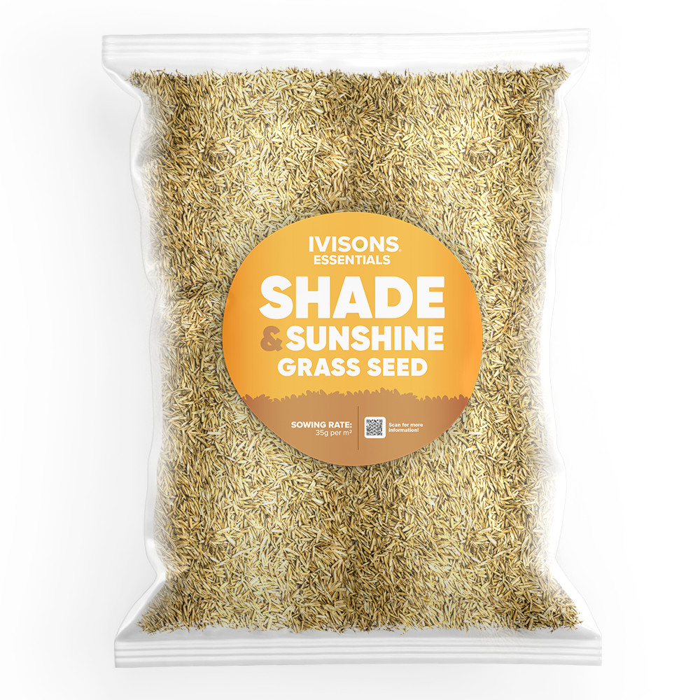 1kg Premium Shady Area Lawn Seed Grass Seed Shaded  Under Trees Ivisons Seeds