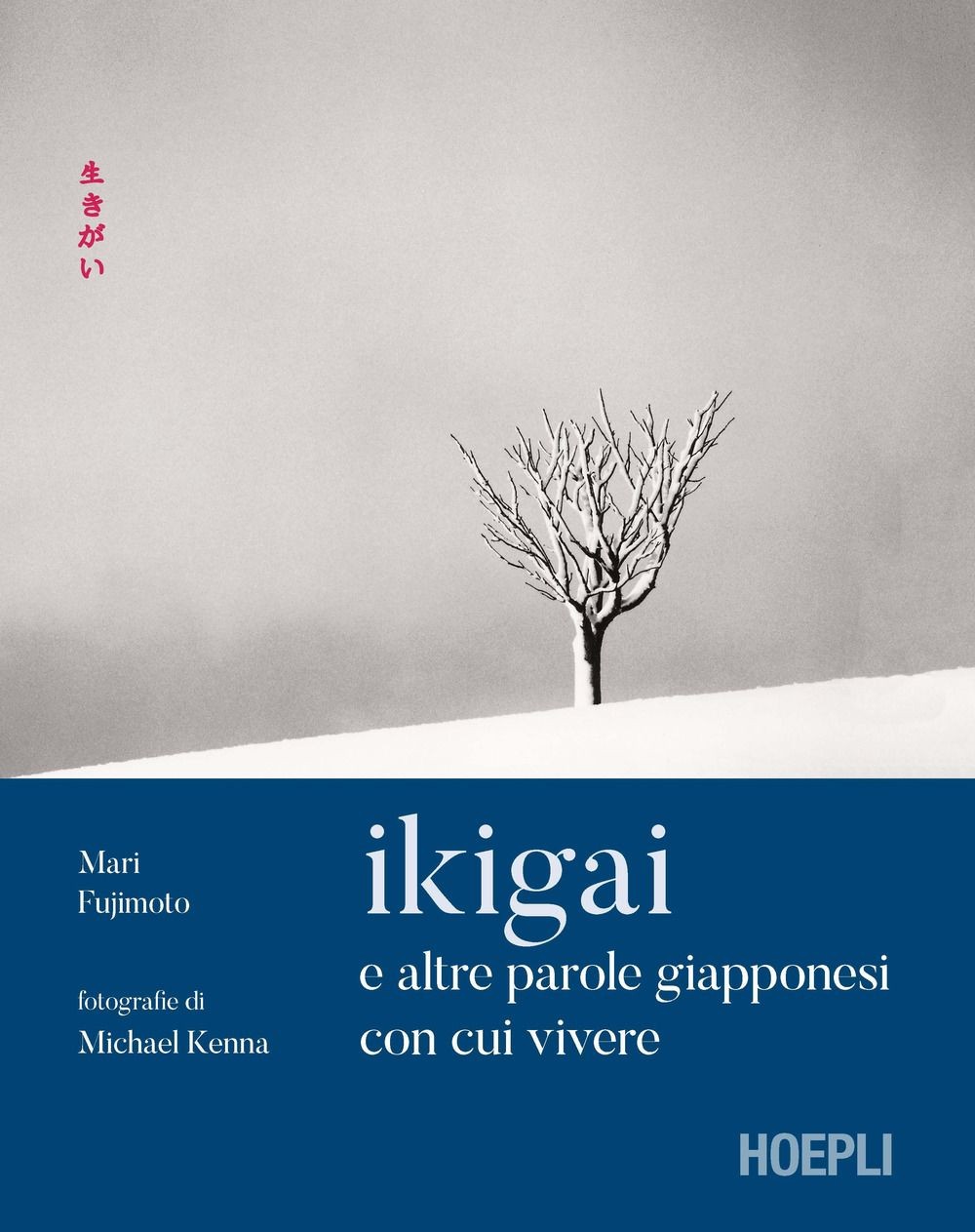 Libri Fujimoto Mari / Buchler David - Ikigai E Altre Parole Giapponesi Con Cui V