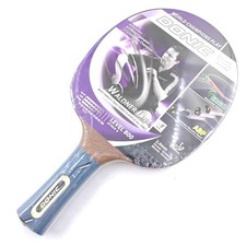 Racchetta da ping pong usata