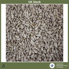 Wild Bird Sunflower Hearts Seed Feed 5kg All Ages 5.60 per kilo