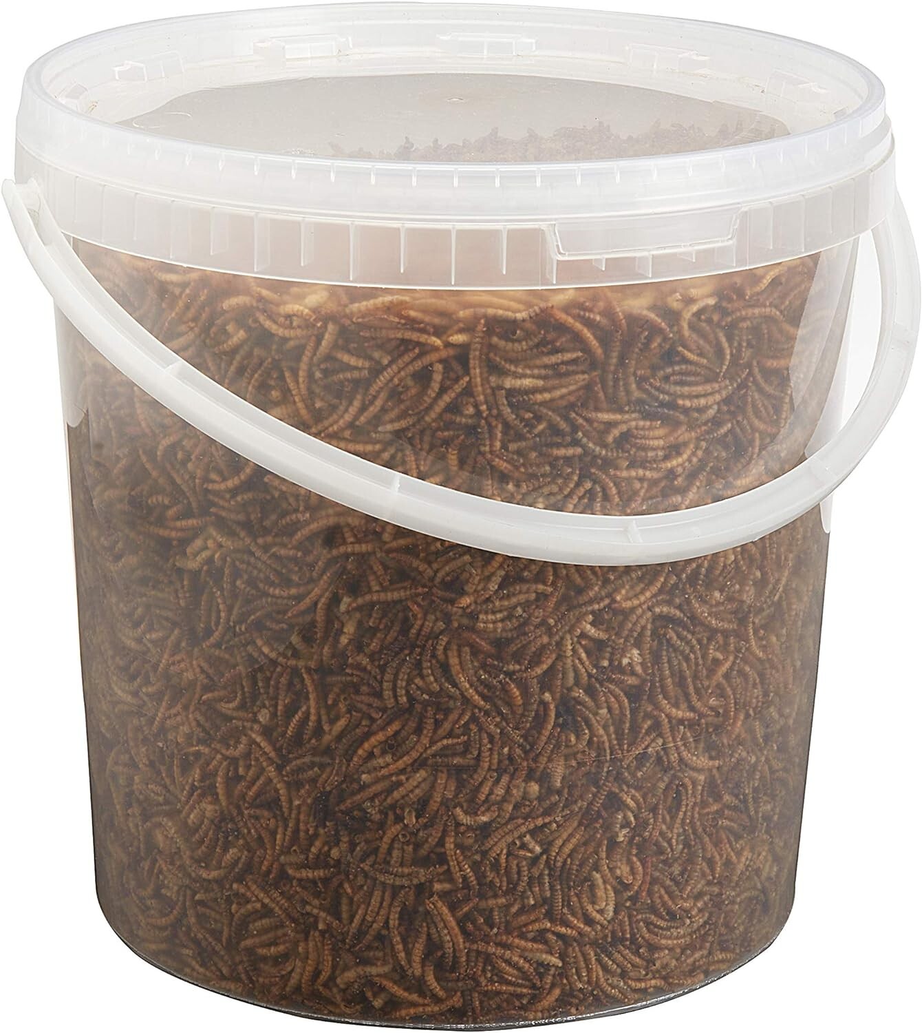 Premium Dried Mealworms, 10 Litre Bucket