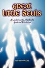 Great Little Souls a Guidebook to Mankind's Spiritual Evolution 9781434303769