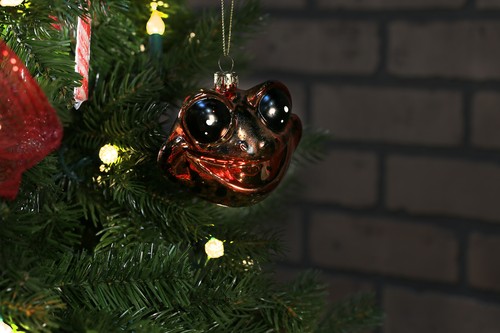 North Star Christmas | Happy Frog Glass Ornament | Animal Collection - Picture 2 of 7