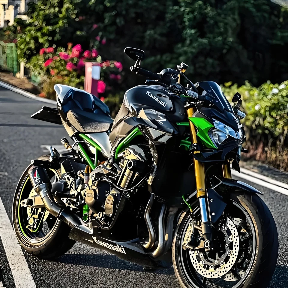 For Kawasaki Z900 2017-2023 Rear Passenger Pillion Seat Cover Fairing Cowl — 第 2/4 张图片