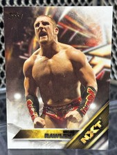 2016 Topps WWE Mojo Rawley Wrestling Card #20 NXT Prospects RC Patriots Hype Bro