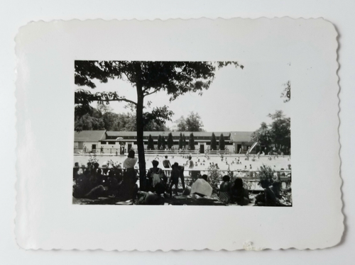 5 Vintage Photos Crystal Lake Pool Men Women Swimsuits 1949 With Negatives - Picture 3 of 13