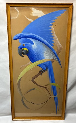 Pintura original firmada por Bruno Ertz (1873-1956) guacamayo azul loro gouache
