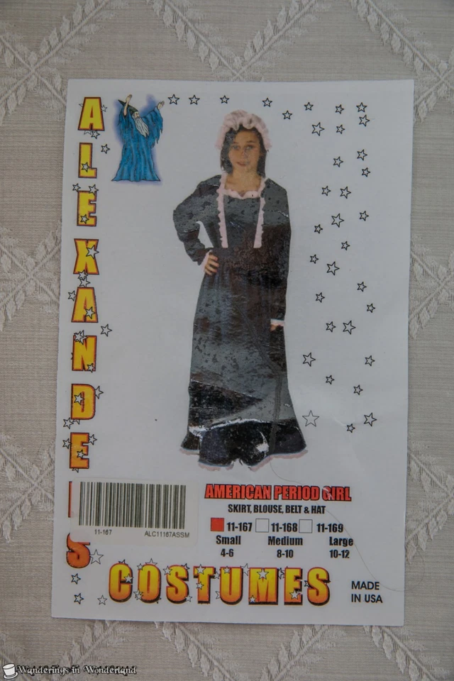 Disfraz Niña Pionera Vestido Mediano Azul Pradera Gorro Halloween Foto 3 de 3