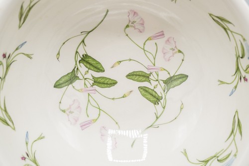 READ Portmeirion The Queen's Hidden Garden Salad Serving Bowl 7 3/4" FREE SHIP - Picture 10 of 14