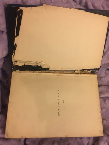 The Animal Story Book Andrew Lane First Edition 1896 Longman, Green, & Co - Picture 5 of 12