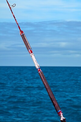 Custom Spinning Rod with Real Crocodile Skin Grips and Awesome Paint Job