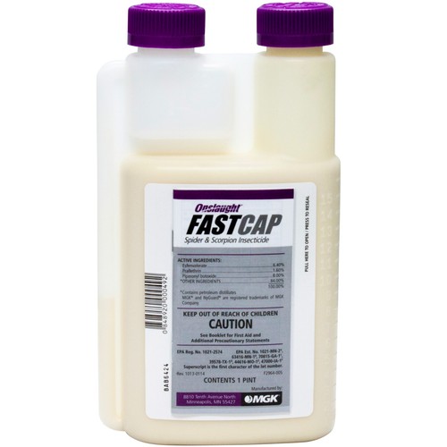 Onslaught FastCap Spider and Scorpion Insecticide 16 fl oz Bottle by ...