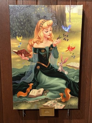 2026 Disney Parks I Wonder Dylan Bonner Canvas Wrap LE 65 of 95 Princess Aurora