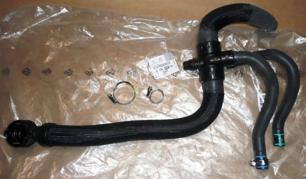Durite de radiateur d'origine 9670449780 pour Citroën Jumpy IV et Peugeot 308