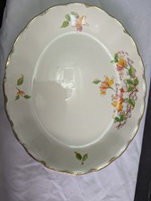 19 piece vintage grindley & co dinner set