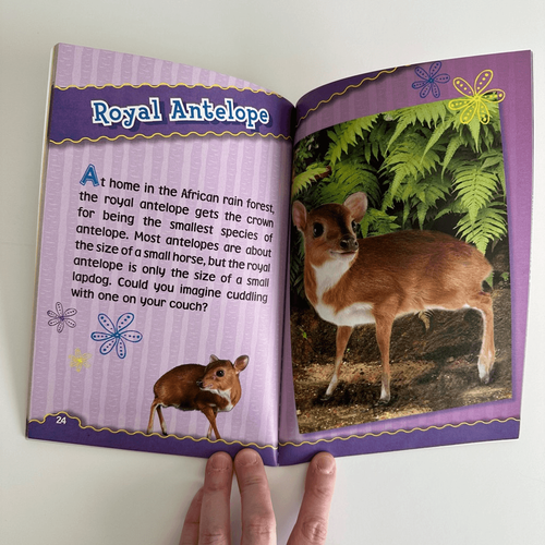 Teensy Weensy Animals book by Joan Emerson, Early Reader - Foto 3 di 5