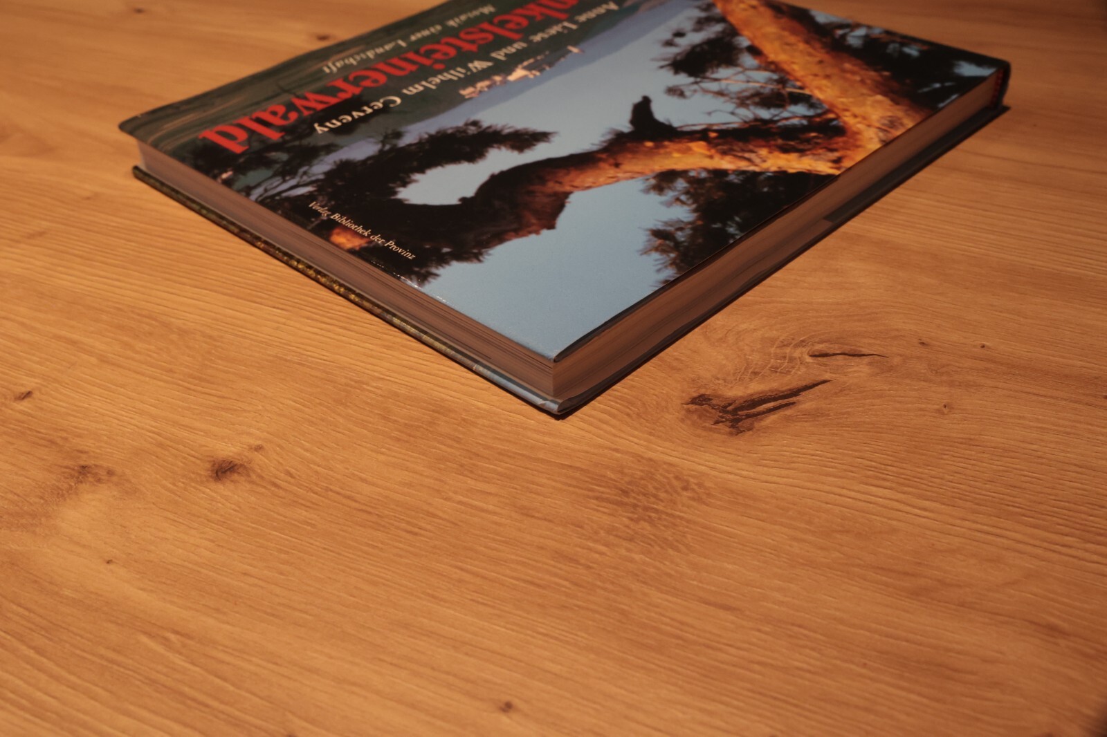 Bild 3 von 14