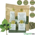 Organic Black Mulberry Leaf Tea (Morus Nigra) Wild Harvest Premium Quality