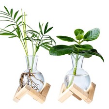 Propagation Stations, Propagation vases with Wooden Stand, Small Tabletop Gla...