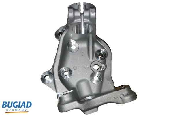 Fusée d'essieu BUGIAD BSP25148 de suspension de roue arrière gauche en acier