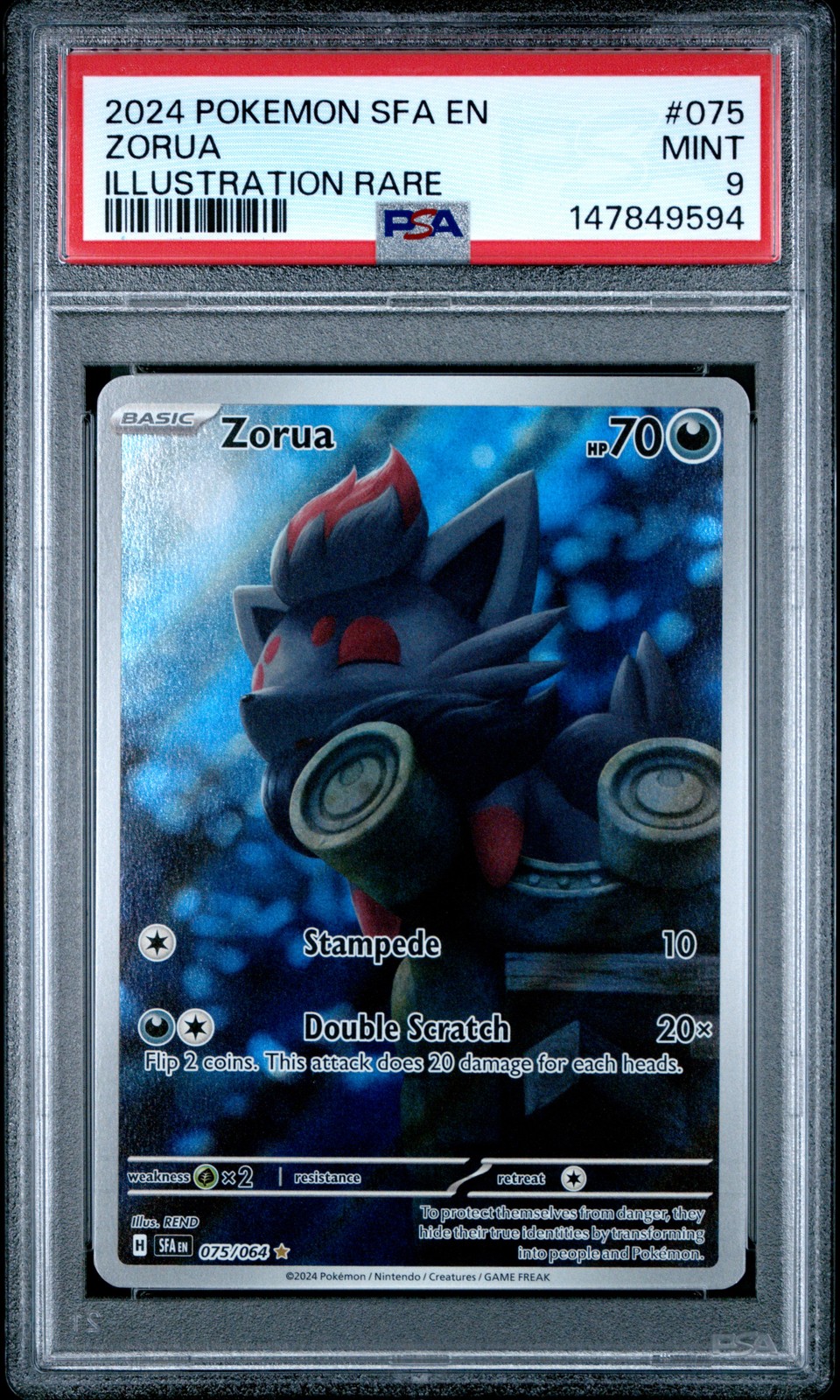 Zorua #75