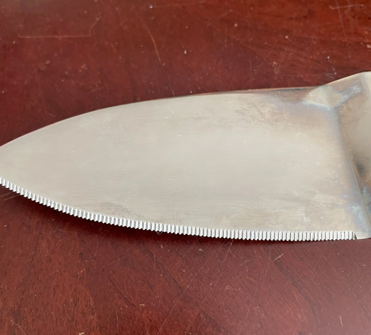 Pie Cake Server Clear  Lucite Handle Stainless Steel Serrated one side  11" L