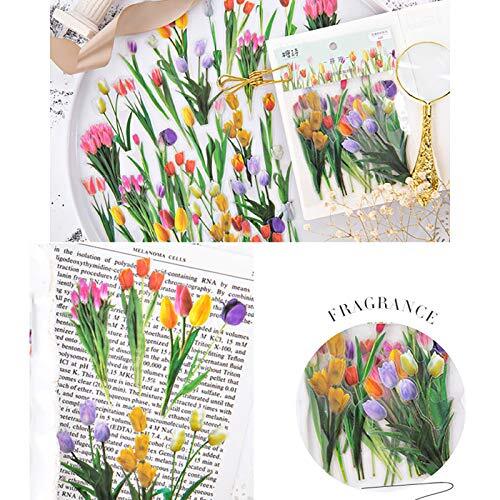 240PCS Vintage Plants Flowers Daisy PET Transparent Stickers for Decoration P... - 第 4/9 張圖片