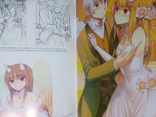 C95 Doujinshi Ookami zu Koushinryou Gewürz und Wolf Illustration Koume Keito Z1 - Bild 4 von 5