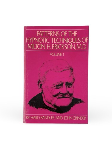 Hypnotic Suggestions Metaphors And Patterns Of The Hypnotic Techniques Books - Picture 9 of 10