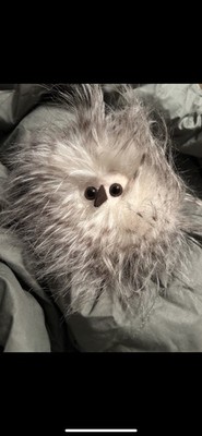 Jellycat Retired Bertie Owlet Plush Stuffed Animal Fluffy Owl NWT