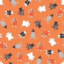 Riley Blake Hey Bootiful Main in Orange Halloween Cat Fabric C13130