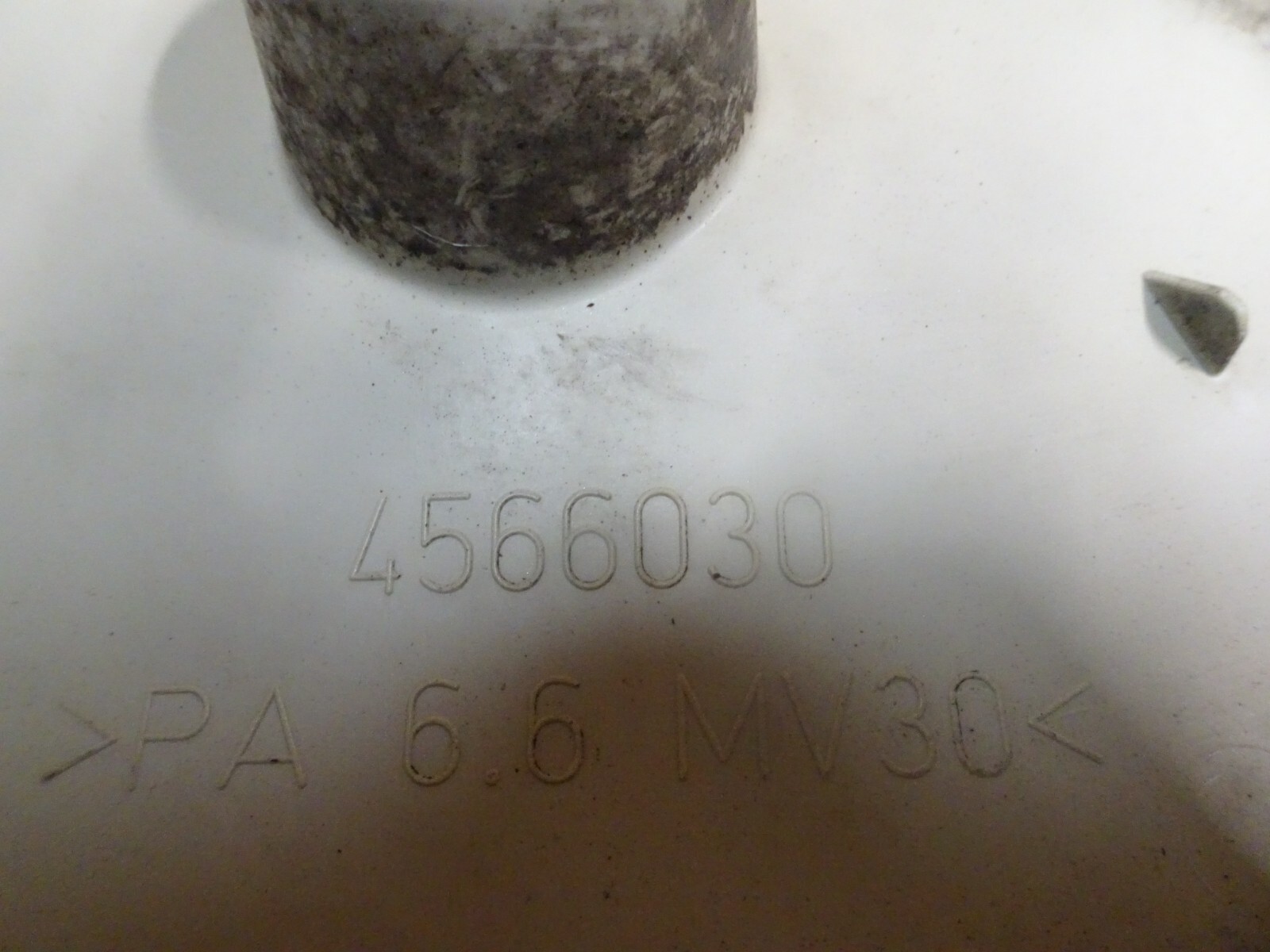 Picture 10 of 11