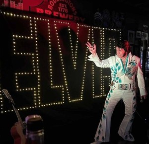 Elvis Backdrop LED Curtain