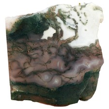 India Tree Moss Agate Slab - Green Moss with Translucent Agate - Old Stock India