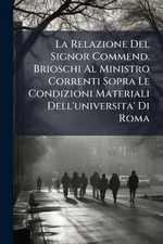 La Relazione Del Signor Commend. Brioschi Al Ministro Correnti Sopra Le Condizio