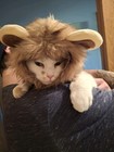 pokephil3