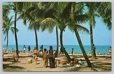Coconut Grove Tropical Miami Beach Florida FL Chrome Postcard Vtg Unposted