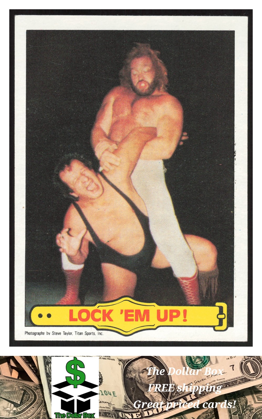 1985 Topps WWF Pro Wrestling Stars #23 Lock 'Em Up! -