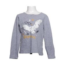 Harry Potter, Langarmshirt, Größe: 134/140, Grau, Baumwolle/Viskose, Print #wqH