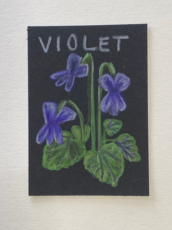 ACEO Original, Hand Drawn Violet Flower, 3.5 x 2.5 by TheMaudeLife