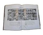 Foto 12 di 15