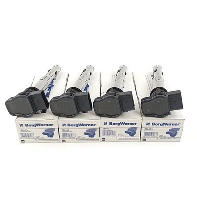 4x Zündspule Beru ZSE033 für VW Audi Skoda Seat LAMBORGHINI 1.8 2.0 4.2 5.2 TSI 
