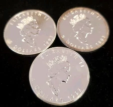 Lot Of Three 1993 Canada Silver Maple Leaf $5 Coins.  3 Oz .9999 RCM